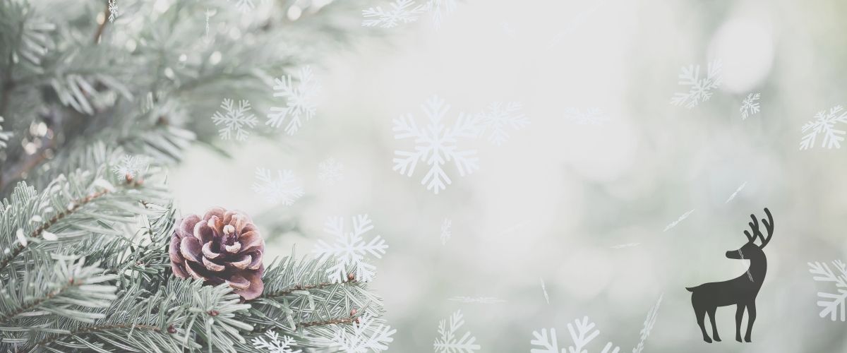 Christmas Wish List 2024 - BeltUp Leather Co.